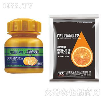 ��Ȼ��Ƥ����-��ʯ����