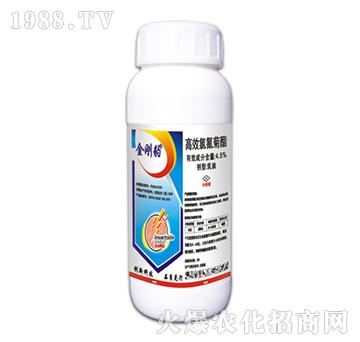 4.5%��Ч�������-������-�ݵ�˹