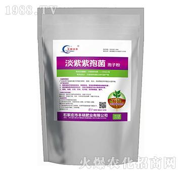 �������߾�-�S�T�ʘI(y��)