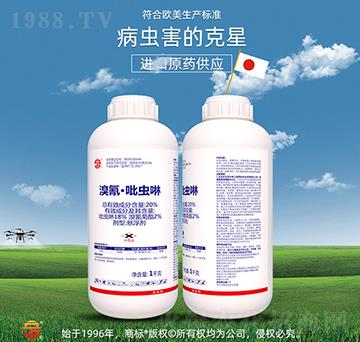 20%���衤���x��-��ռ�r(n��ng)�Y