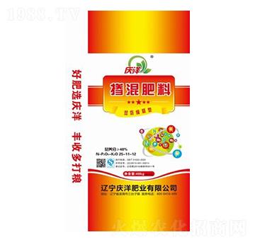 �pЧ����͓������25-11-12-�c��ʘI(y��)