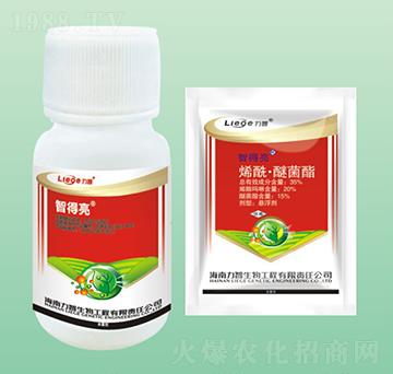 �ǵ���������-��������