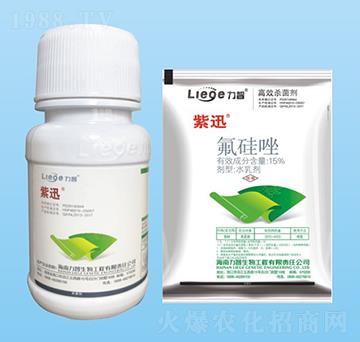 ��Ѹ������-��������