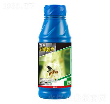 5.2%���S���������ͣ�500ml��-ᘷ��տ�-ӯ�x