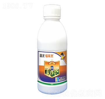 250��ÿ�����ǰ�����-�Թ⸣���`-ӯ�x