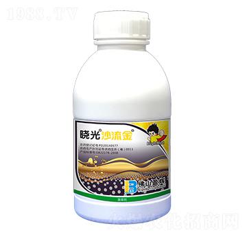 250��ÿ���f��ͪ-�Թ�ɳ����-ӯ�x