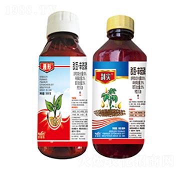 50%���١�������-����+�x��(sh��)-����������