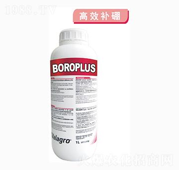 ����Һ�w��-������-��ʿ�r(n��ng)�I(y��)