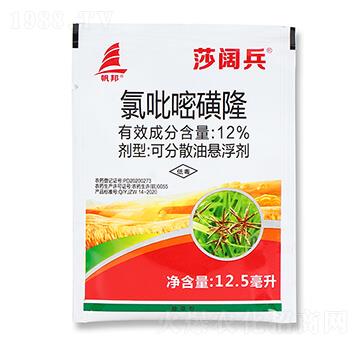 12%�����׻�¡-ɯ韱�-ϲ�S��