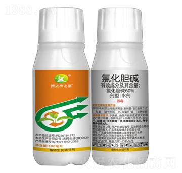 10%�Ȼ�đ�A-��֮��֮��-�S�՘�(l��)