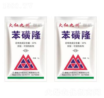 10%����¡-��t����-����ꖹ�