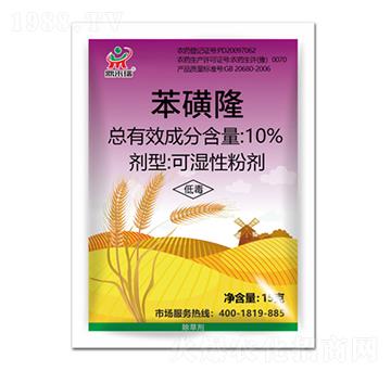 10%����¡-������