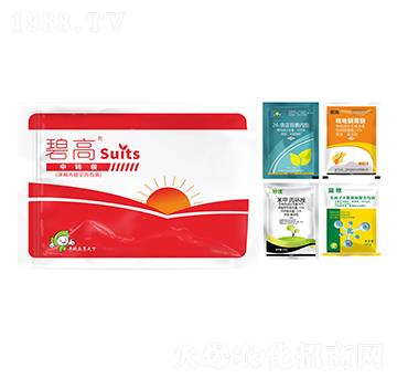 ����I(y��ng)�B(y��ng)�ײ�-�̸�-�S�՘�(l��)