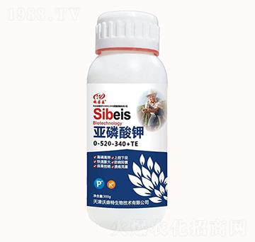 �������520-340+TE-ʩ��ɭ-��ɭ��