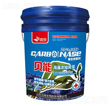 �����sԭ�{-ؐ������