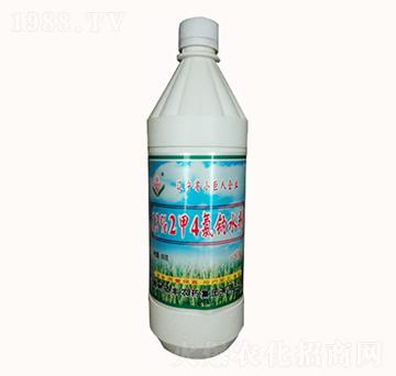 13%���������c-�T�S�r(n��ng)ˎ