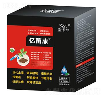 �|���� ʢ����