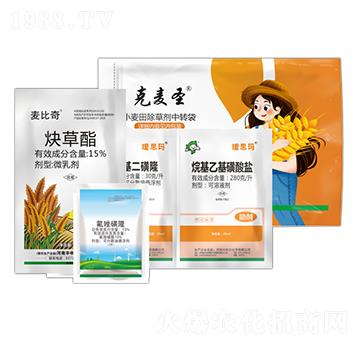 ����Ժ̲�һ���-����ʥ-�S�՘�