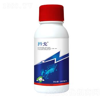 5%���S����-���-�S�՘�