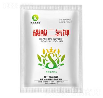 ��������-��֮��֮��-�S�՘�