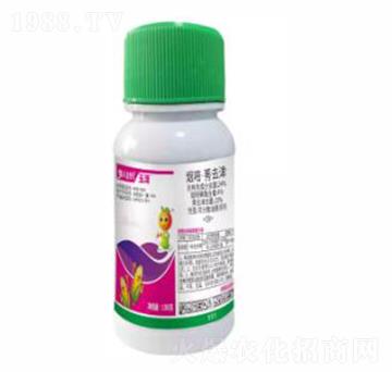 ���ס�ݬȥ��-��-ؐ��������