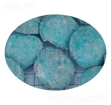 �ؙ������ؘ��-�����Ƽ�