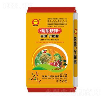 �����@��~���-�Ŷ�-�����Ƽ�