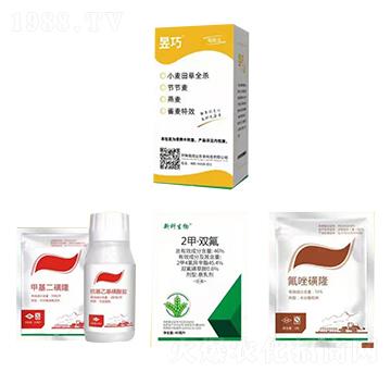 С�����ȫ��-����-�����_(d��)