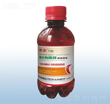 ΢�������-��T��-�ڰ�