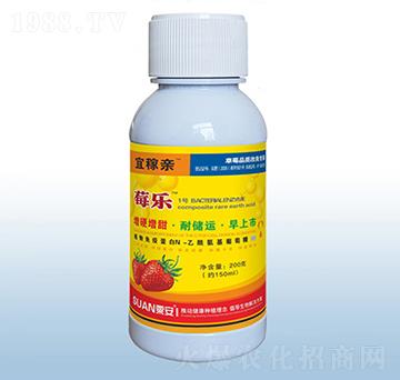 ��������ˮ�ܷ���-ݮ��-�ڰ�