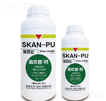 ʩ����-�}-δ�����W