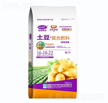 ����������ͺϷ���16-10-22-��������