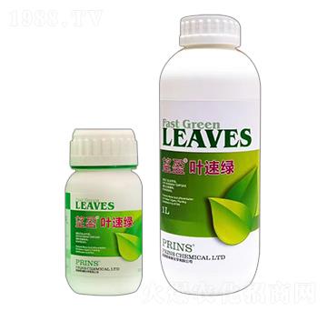 ��ӯ�~�پG-Ӣ������˹