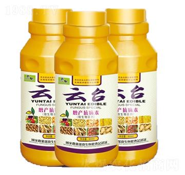 ���a(ch��n)������-���_