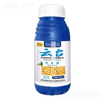 ������-���_