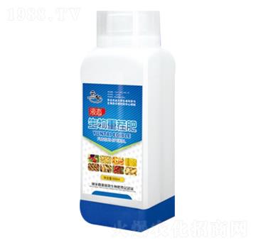 �����ز��-���_(t��i)