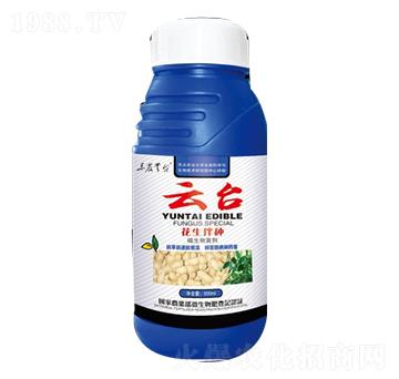 ������N��-���_(t��i)