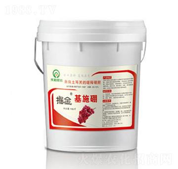 ����ʩ��-�̵�