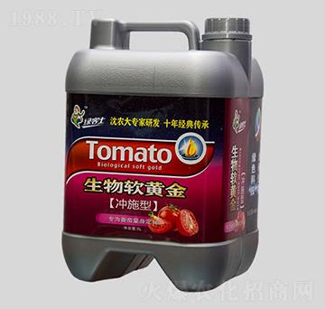 ���t�����Û_ʩ����-����ܛ�S��-�����ʘI(y��)