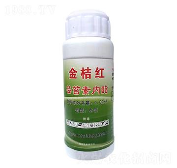 �|̦�؃�֬-��ۼt���B(t��i)