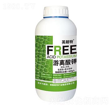 ���x���-Ӣ����