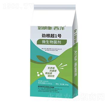 �Ÿ���1̖��΢���������-�Z��ʩ-���󌍘I(y��)