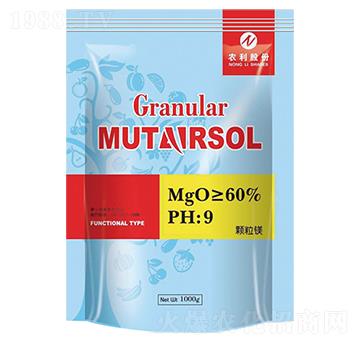 �w���V-�r��