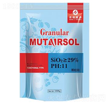 �w����-�r��