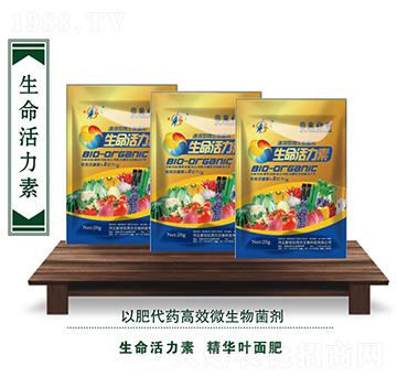 ����������-��������