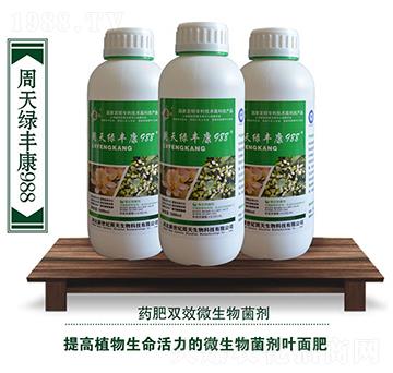 ����G�S��988�~���-��������