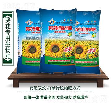 �������������-��������