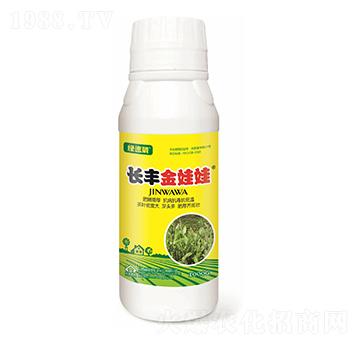 �L(zh��ng)�S�����ޣ���������-�G����-�L(zh��ng)�S����