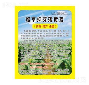 ������ѿ���S�أ��������a(ch��n)������-��������