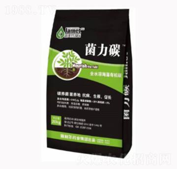 �����ЙC(j��)̼-����̼-������